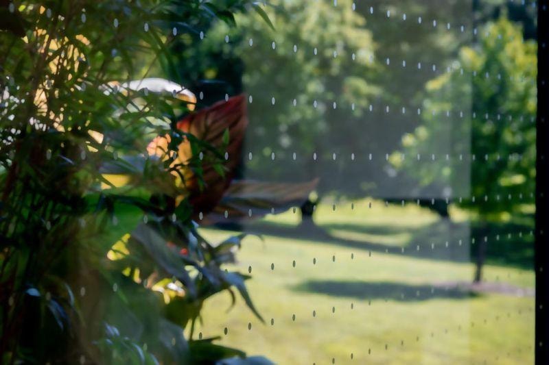 Window with bird safety dot pattern film showing garden view through glass
