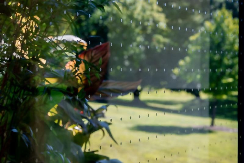 BSF-DB35 Solar Bird Safety Film on window