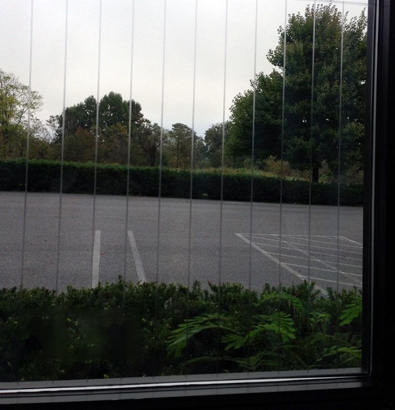 SX-BSFV Vertical Pattern Bird Safety Film installed on building