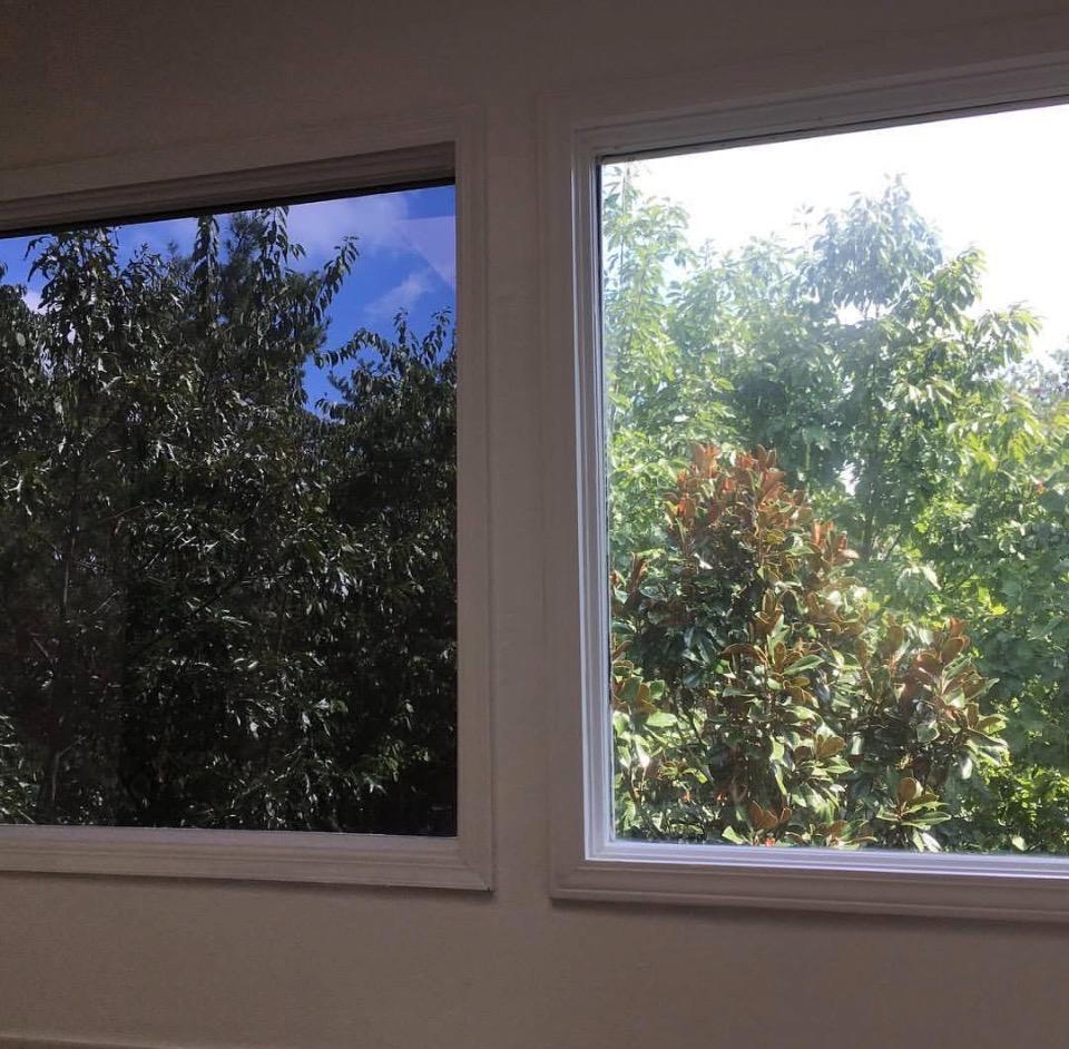 Side-by-side windows showing tinted vs untinted glass with tree view